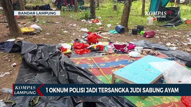 1 Oknum Polisi Jadi Tersangka Judi Sabung Ayam