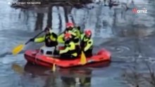 Contra corriente: bomberos desafían las aguas para salvar a varios gatos en las inundaciones de Madrid
