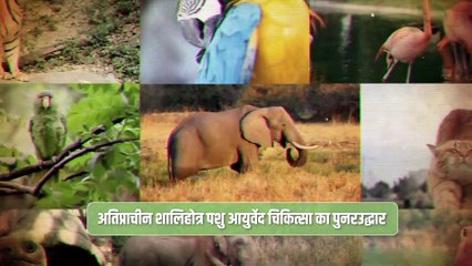 वो वन जिसने जीता दुनिया का मन. प्राणी मित्र, THE VANTARA STORY.