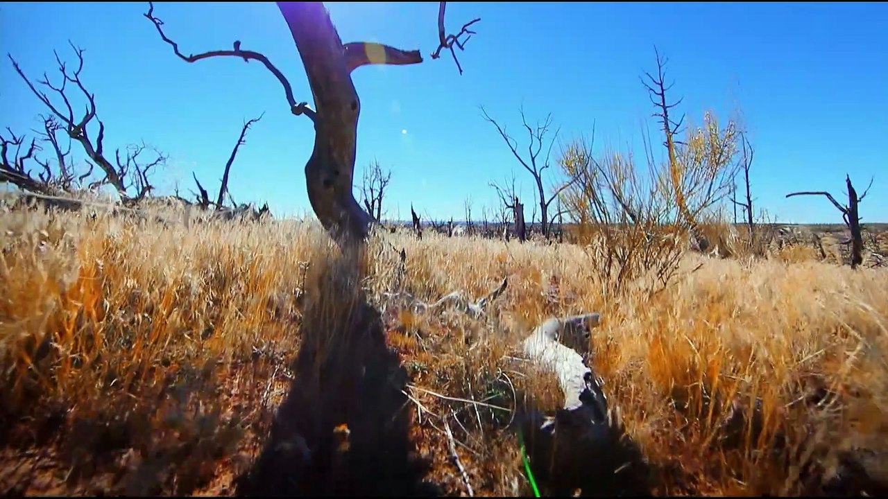 Nord America ai raggi X: Esseri umani