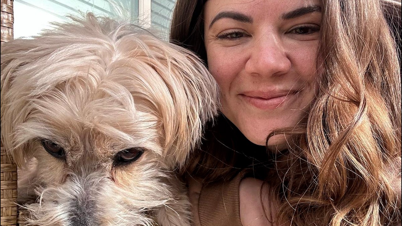 "My dog ate FIVE pairs of my Skims underwear - leaving me with $13k vet bill"