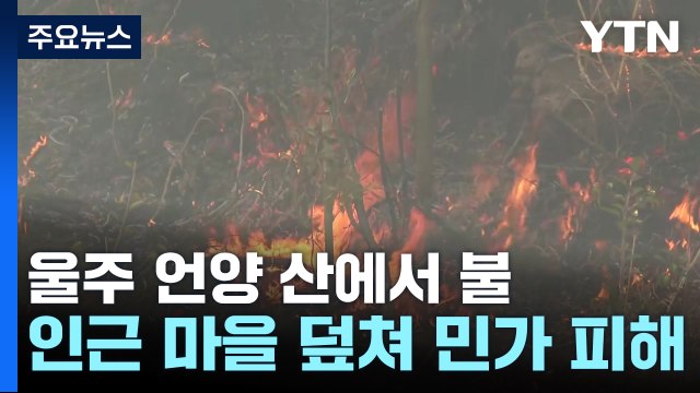울주 언양 산에서 불...인근 마을 덮쳐 민가 피해 / YTN