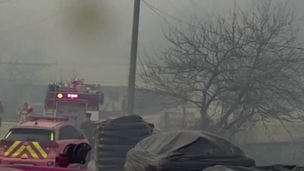 전북 고창 야산도 불...정읍으로 번져 주택 등 15동 불타 / YTN