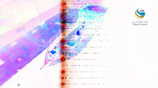 Dubai Customs thwarts major smuggling attempt at strategic seaport, seizes 147.4 kg of narcotics and psychotropic substances