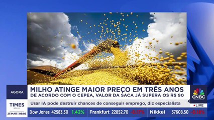 Milho atinge maior preço em 3 anos: o que está por trás dessa alta? Especialista detalha