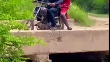 very funny moments. #laugh #challenge