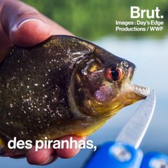 7 merveilles de la nature