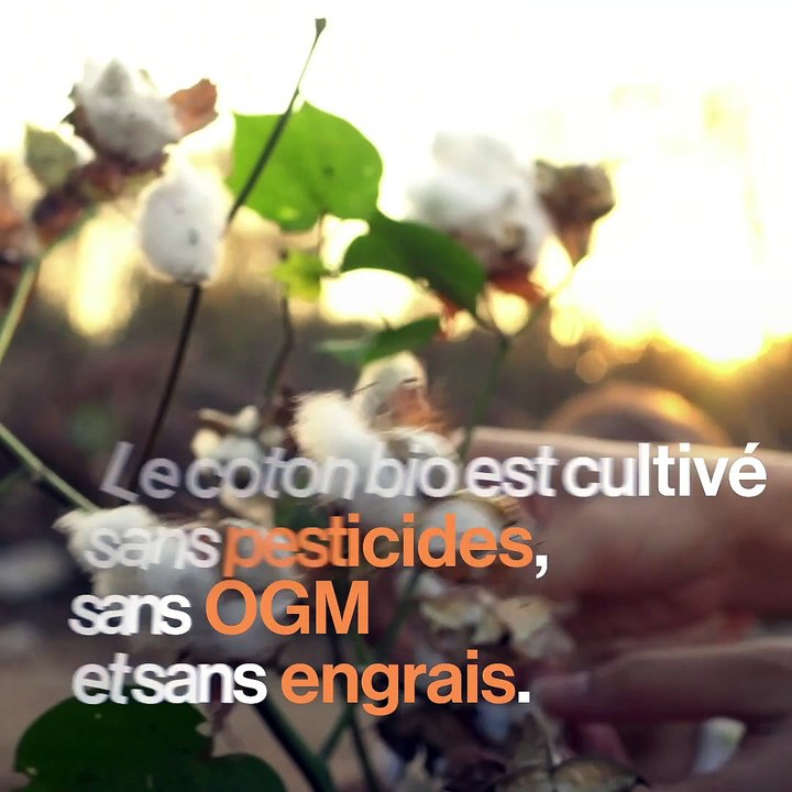 Benjamin a créé une marque de tshirt bio et responsable