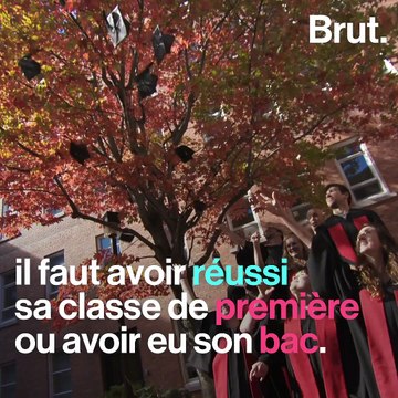 4 bonnes raisons de partir étudier dans l’Est-du-Québec.