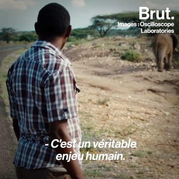 When Lambs Become Lions , un documentaire sur le braconnage au Kenya
