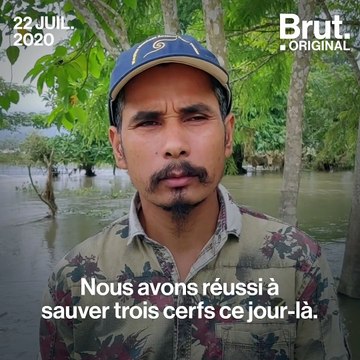 Inondations en Inde : un homme sauve des animaux in extremis dans le parc national de Kaziranga