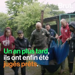 Bulgarie : trois oursons retrouvent la liberté