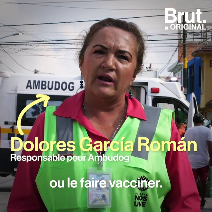 Cette ambulance soigne les chiens errants