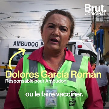 Cette ambulance soigne les chiens errants