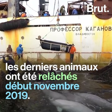 La prison des baleines a fermé
