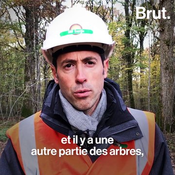 Le parcours du bois-énergie