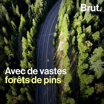 Pourquoi la Californie est si exposée aux incendies ?