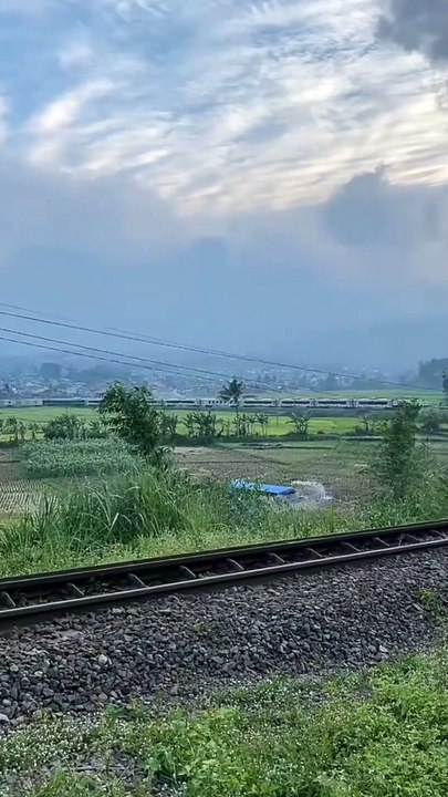 KAI kereta api Argo Wilis