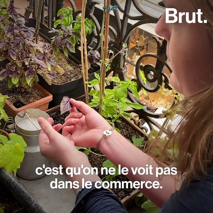 Comment transformer son balcon en potager bio