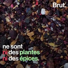 Comment Victor, maître infuseur, élabore les infusions Les 2 Marmottes