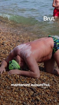 Stève le phoque a pris près de 50kg pour résister aux eaux glaciales