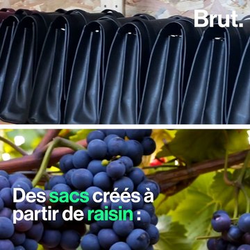Claire et Lisa créent des sacs à partir de cuir de raisin