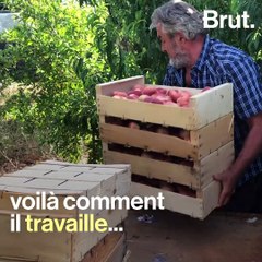 Dans le Gard, voilà comment Christophe vend ses fruits en circuit-court