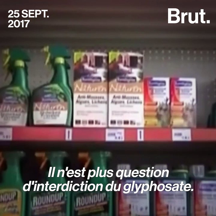 5 fois où Christophe Castaner a parlé trop vite