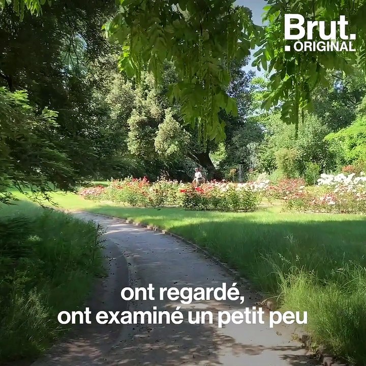 Paris étudie les effets du confinement sur la biodiversité de ses espaces verts