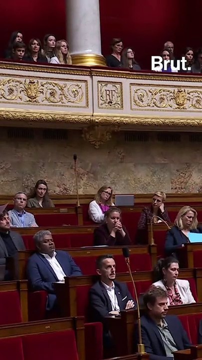 Propos racistes à l’Assemblée nationale : retour sur la séquence