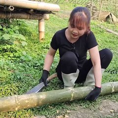 Build a new restroom and water floor.