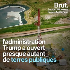 Quel bilan environnemental pour Donald Trump ?