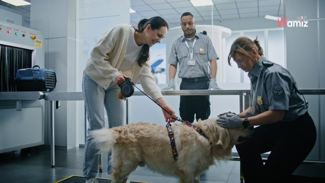 Elle ne peut pas monter dans l'avion avec son chien : elle décide de se débarrasser de lui de la pire des façons