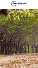 How Cyclists Insurance in California Can Keep You Safe on the Road (1)