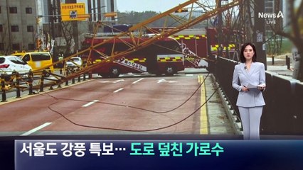 서울도 강풍 특보…도로 덮친 가로수