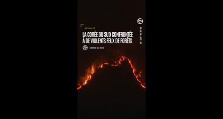La Corée du Sud confrontée à de violents feux de forêts