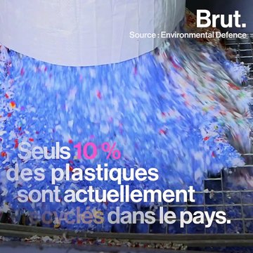 5 bonnes nouvelles pour la planète en juin 2019