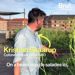 Østergro, un rooftop pas comme les autres