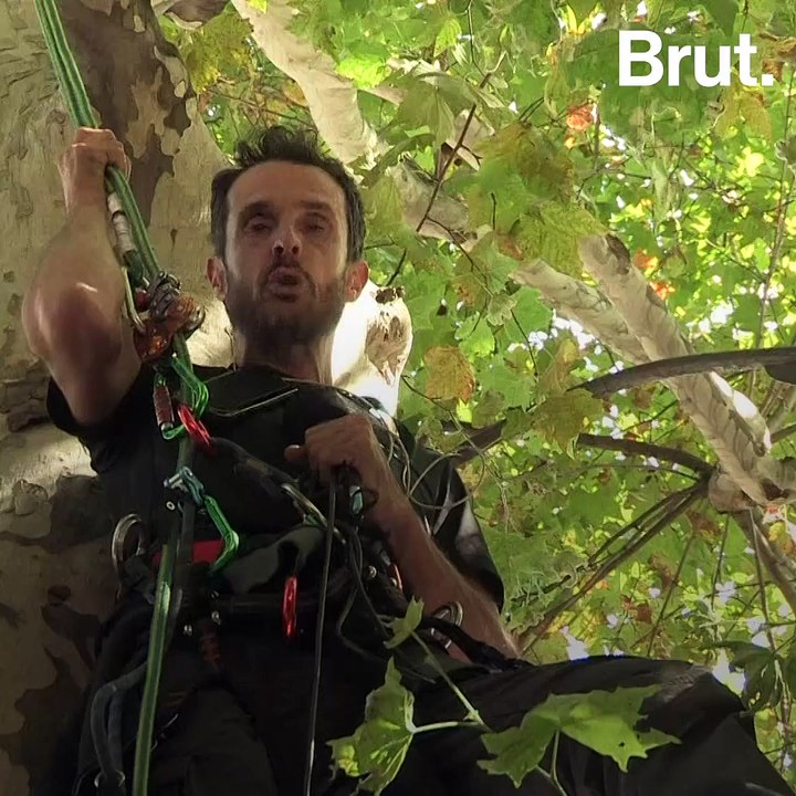 Thomas Brail squatte un platane depuis plusieurs jours à Paris