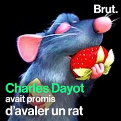 Manger un rat à cause du PSG