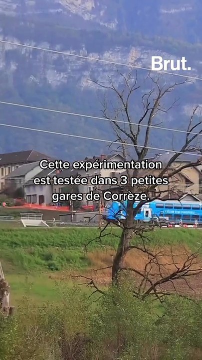 Faire un signe de la main pour que le train s’arrête en gare : qu’en pensez-vous ?