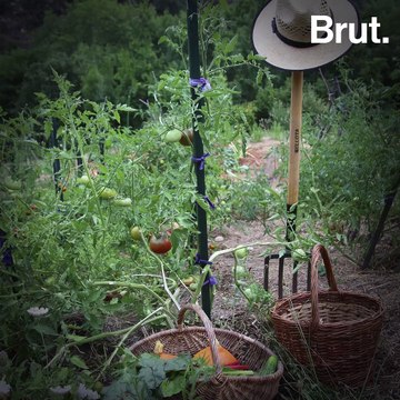 Interview Brut de Cyril Dion, réalisateur de Demain