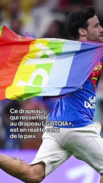 Qatar 2022 : il envahit le terrain avec un drapeau arc-en-ciel