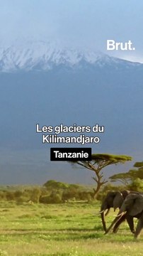 Ces glaciers vont très probablement disparaître d’ici 2050