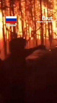 Partout dans le monde, des vagues de chaleur engendrent des incendies