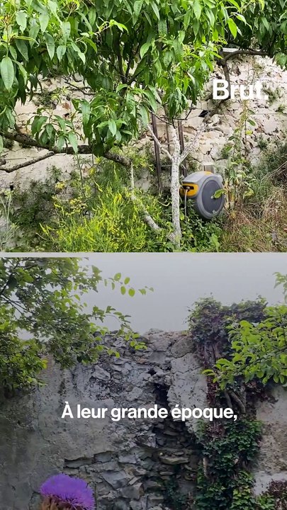 Sébastien restaure les emblématiques murs à pêches de Montreuil