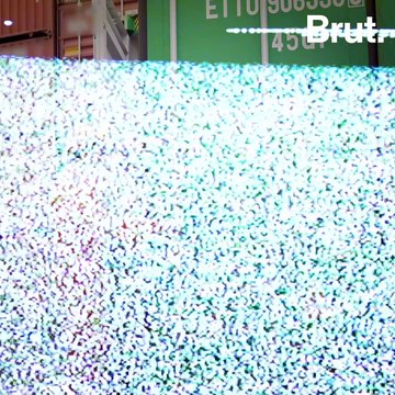 Thunder 2020 : une vaste opération contre le trafic d’espèces sauvages