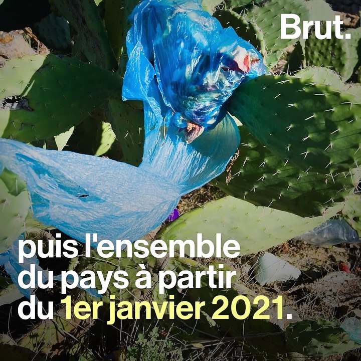 5 bonnes nouvelles pour la planète