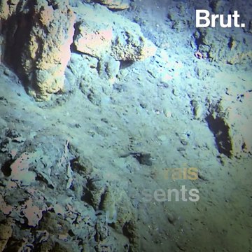 Les fonds marins : nouvel eldorado minier