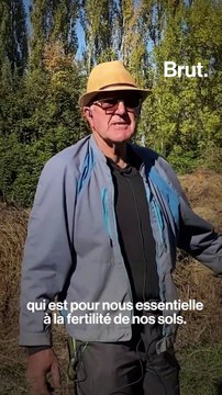 Sur son exploitation bio, Marcel veut respecter les sols